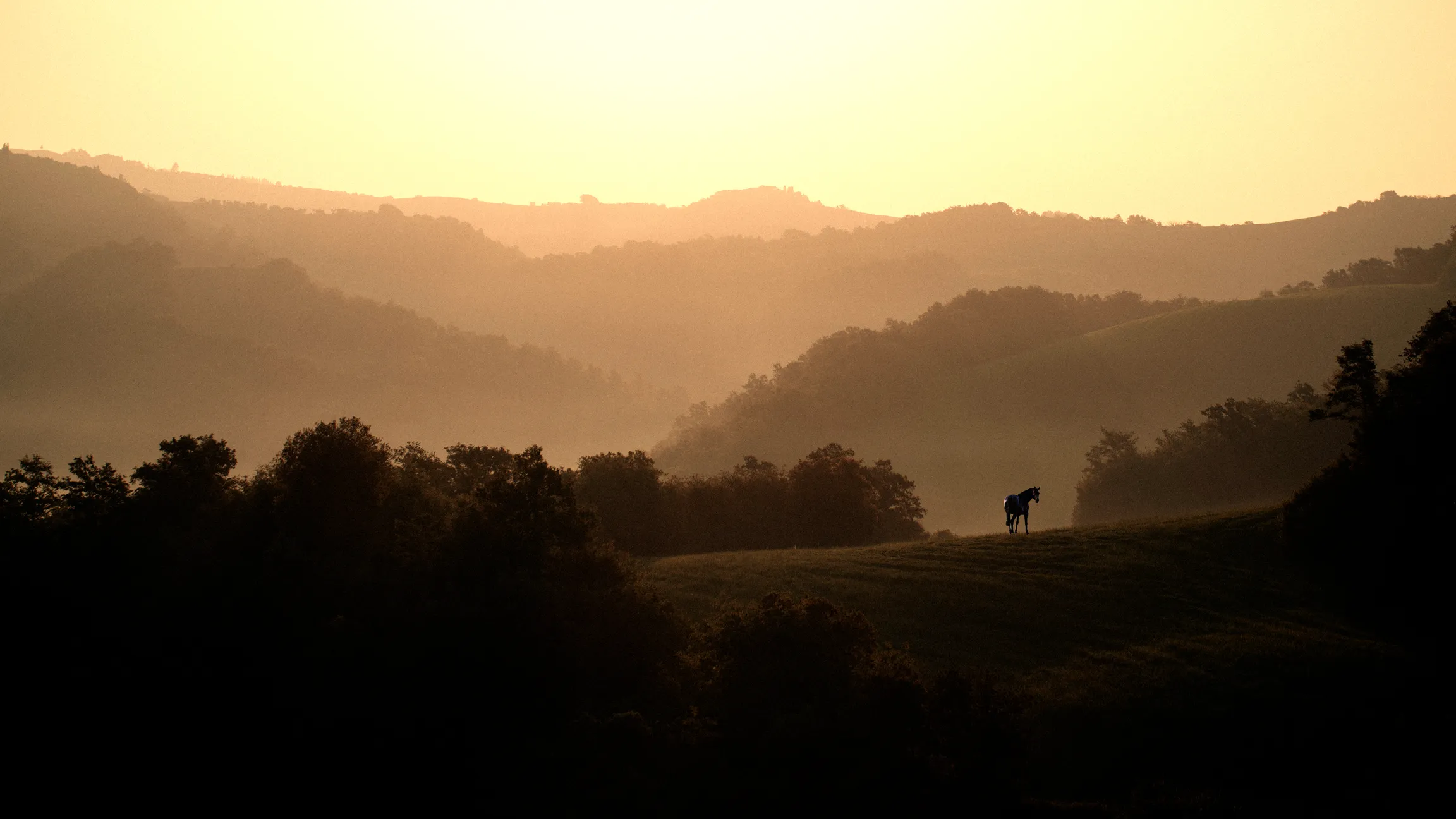 With Zest Wine Tours - Image 7